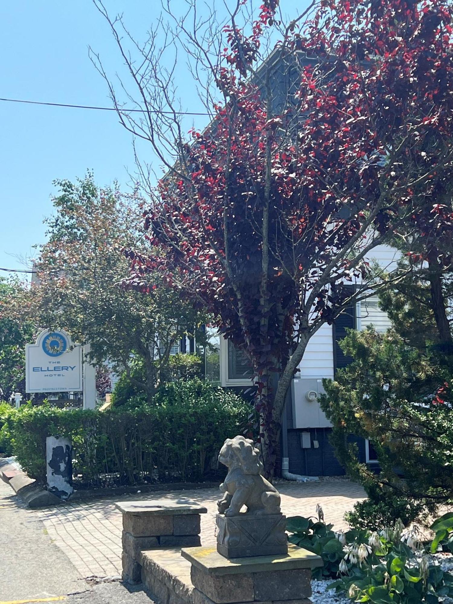 The Ellery Hotel Provincetown Exterior photo